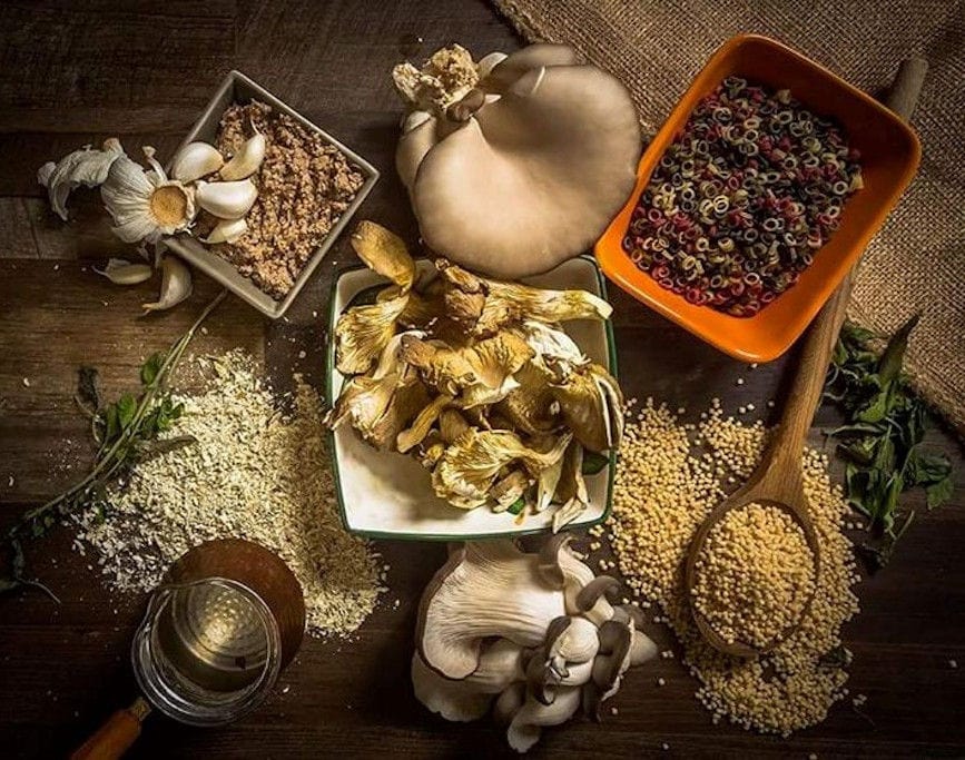 ceramic bowls with pasta and dry moushrooms on wood surface at 'Mitato Mushrooms Farm'